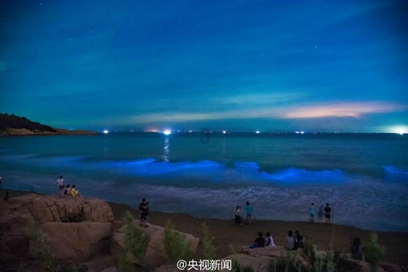 四海一家是什么动物游戏画面