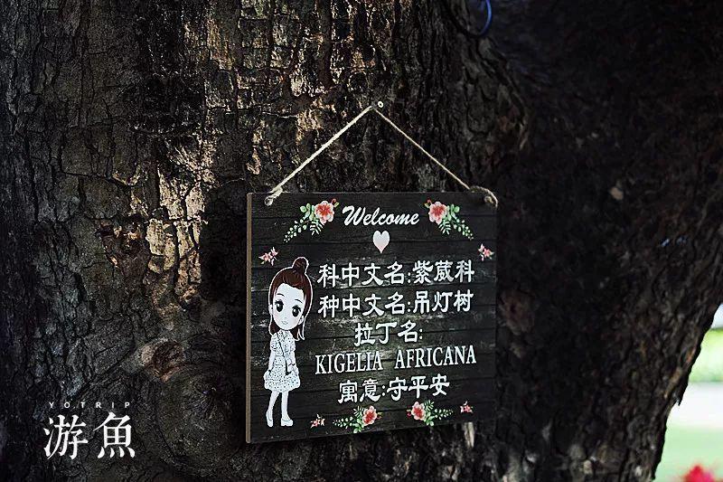 财通证券:张伟担任杭州良渚文化城集团董事长